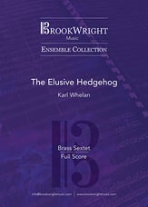 The Elusive Hedgehog P.O.D. cover